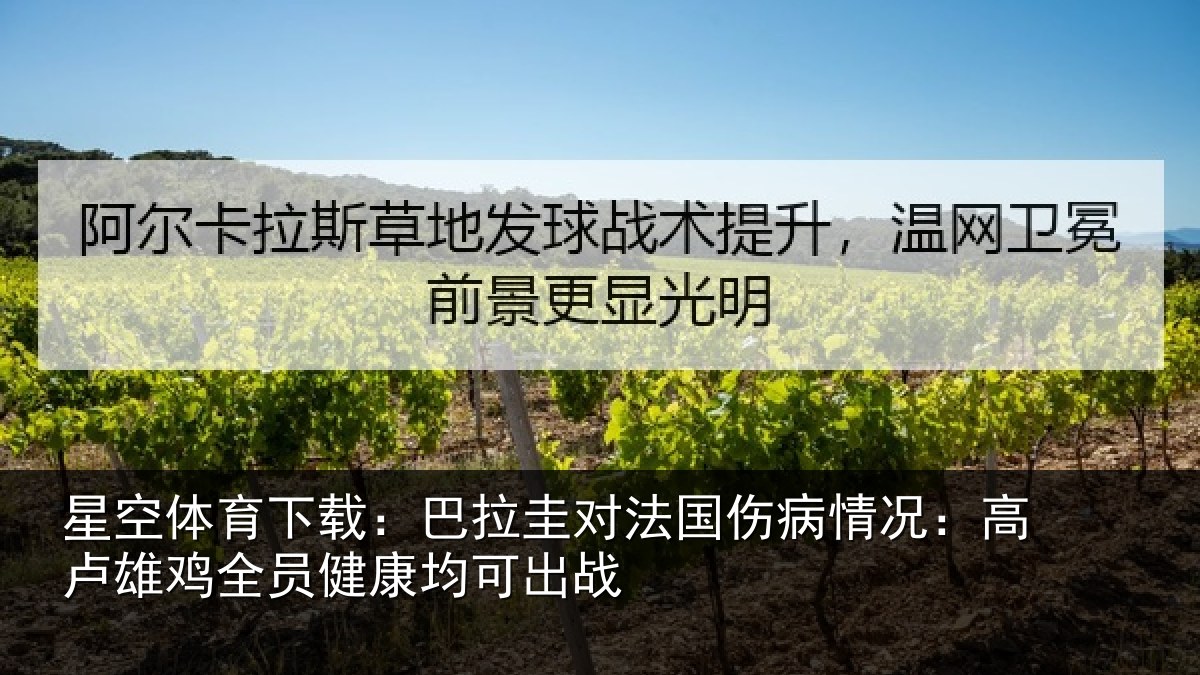 星空体育下载：巴拉圭对法国伤病情况：高卢雄鸡全员健康均可出战